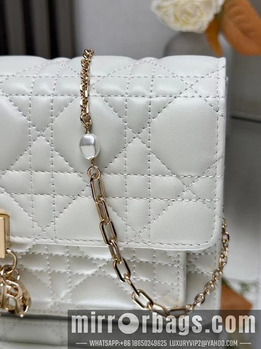 Dior Bags Dior 3105 19.5x12.5x5cm yz1