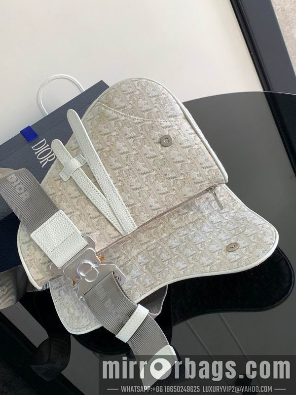 Dior Bags 093 20x28.6x5cm WP 3