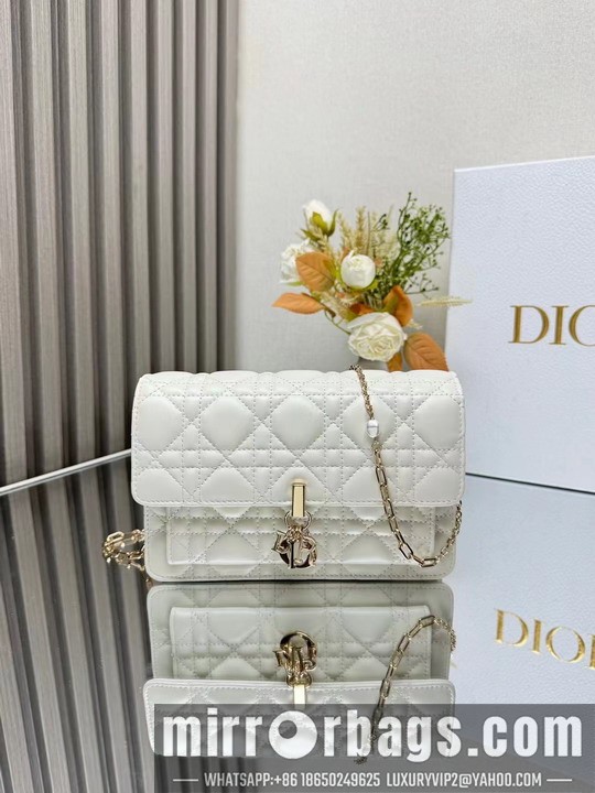 Dior Bags Dior 3105 19.5x12.5x5cm yz1