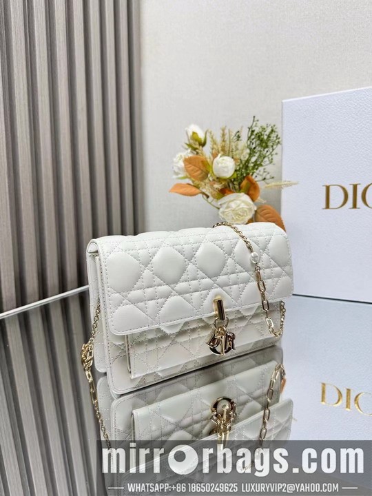 Dior Bags Dior 3105 19.5x12.5x5cm yz1