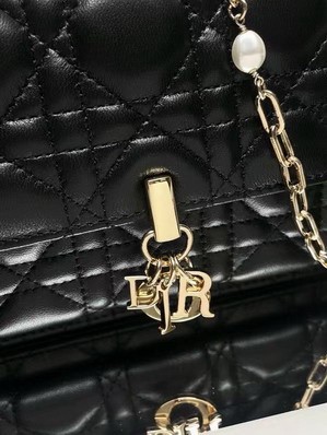 Dior Bags Dior 3105 19.5x12.5x5cm yz