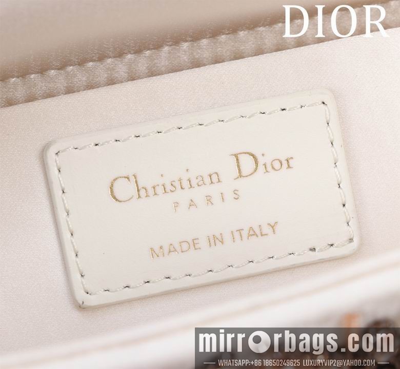 Dior Bags M0541821 22X12X6.5cm BG 3colour