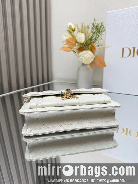Dior Bags Dior 3105 19.5x12.5x5cm yz1