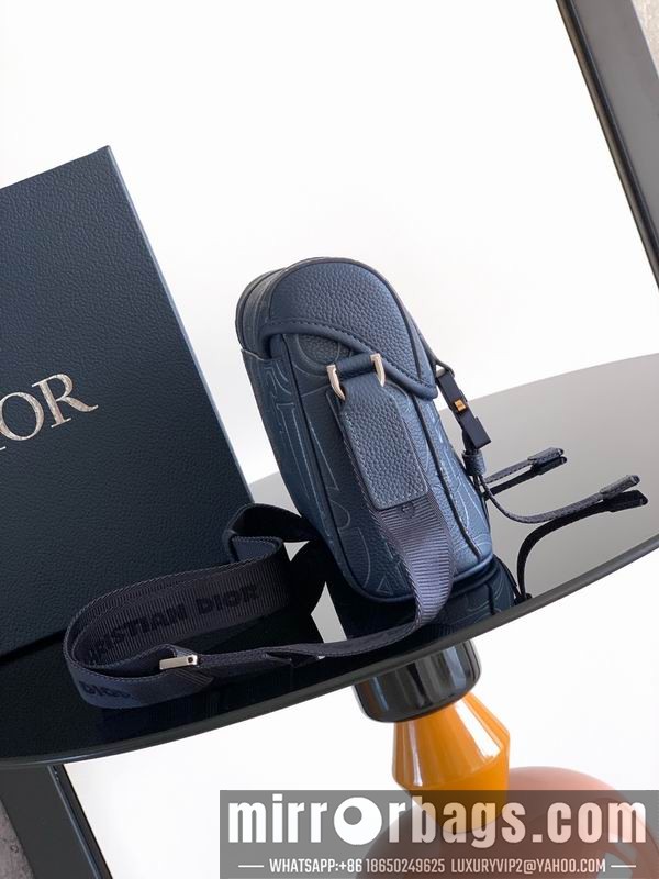 Dior Bags 1HTPO333 24x18x8cm WP