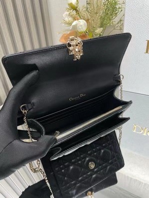 Dior Bags Dior 3105 19.5x12.5x5cm yz
