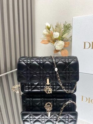 Dior Bags Dior 3105 19.5x12.5x5cm yz