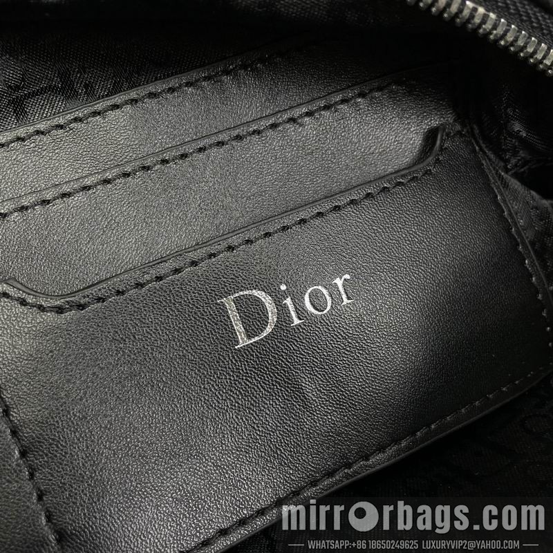 Dior Bags 339 24x16x6cm WP