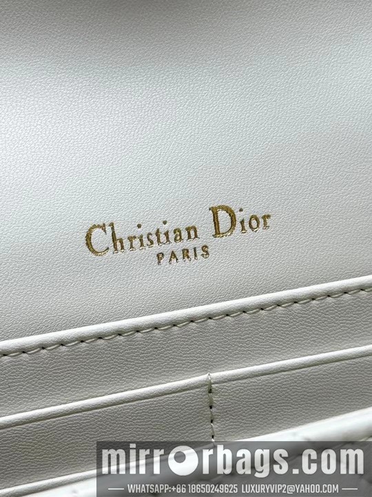 Dior Bags Dior 3105 19.5x12.5x5cm yz1