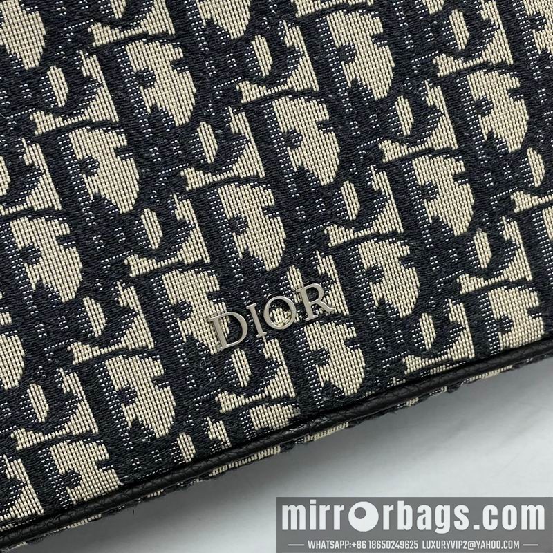 Dior Bags 339 24x16x6cm WP