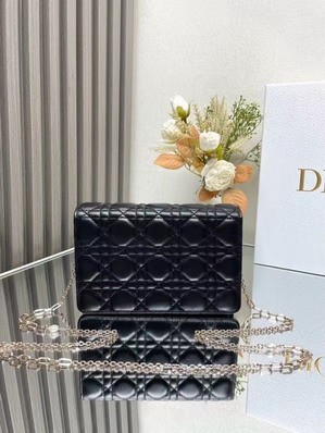 Dior Bags Dior 3105 19.5x12.5x5cm yz