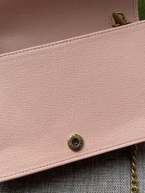 1:1 Gucci Bags 696817 19X11X5cm DF