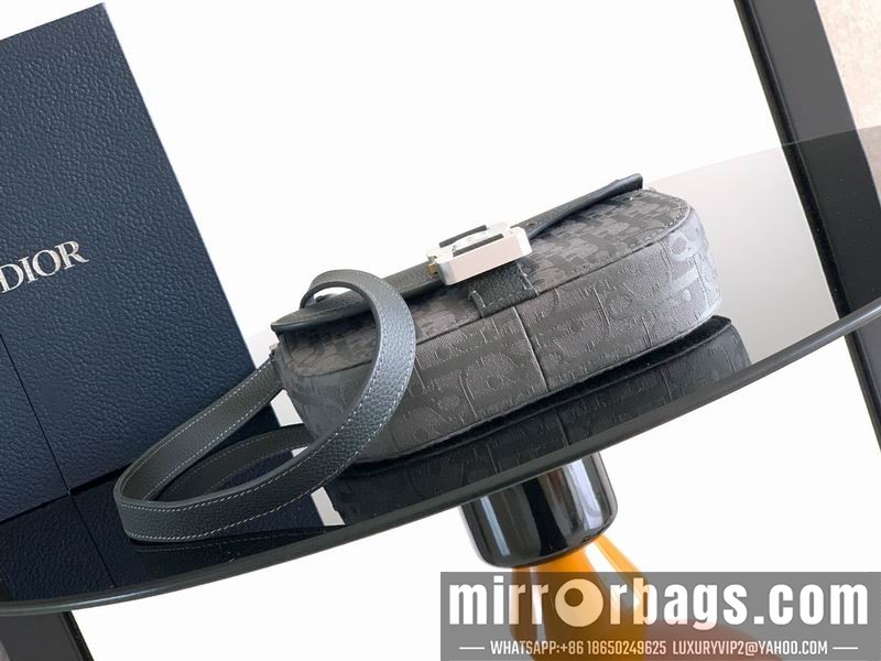 Dior Bags 2ADCA435YKK42 19.5x13x4.3cm WP