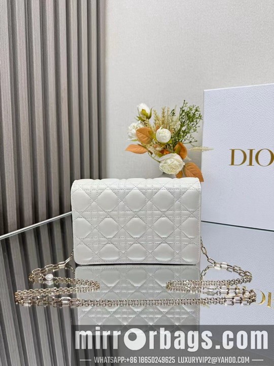 Dior Bags Dior 3105 19.5x12.5x5cm yz1