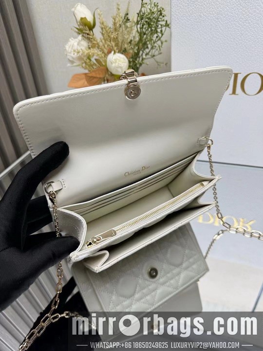 Dior Bags Dior 3105 19.5x12.5x5cm yz1