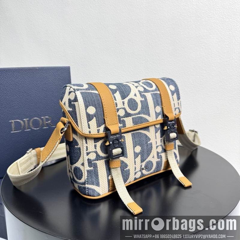 Dior Bags 1HTPO333 24x18x8cm WP 1