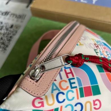Gucci Bags 650299 22X13X6cm MP 2colour