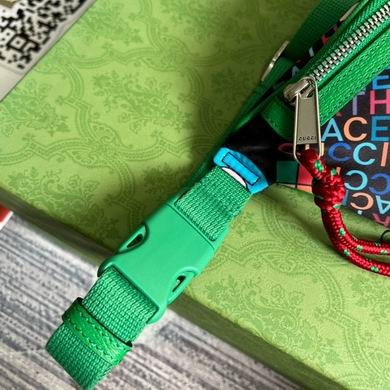 Gucci Bags 650299 22X13X6cm MP 2colour