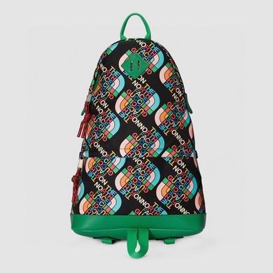 Gucci Bags The North Face x Gucci 650288 33X49X13cm MP 2colour