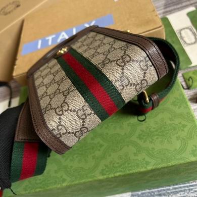 Gucci Bags 699770 14X22.5X4.5cm MP