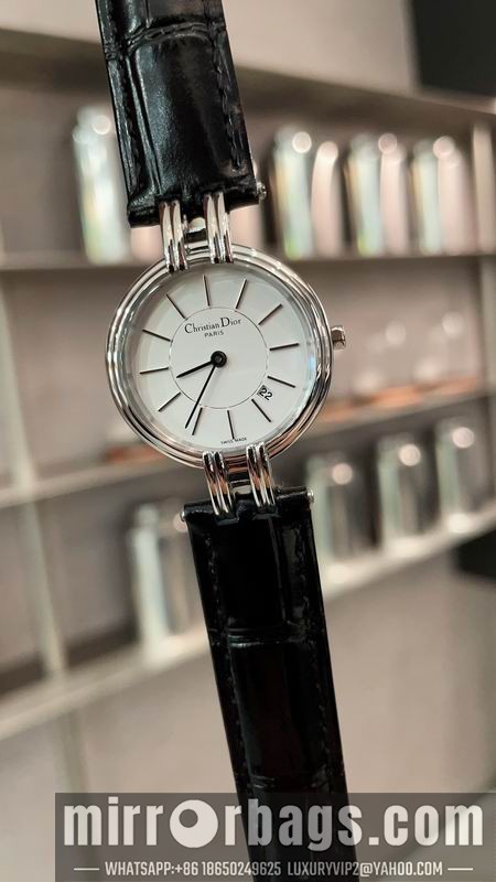 Dior watch 101445 Watch