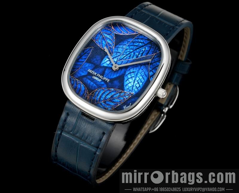 Patek Philippe watch 062207 Watch