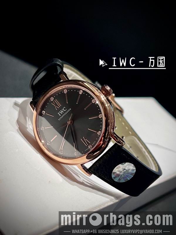 IWC 34mm 042915 Watch