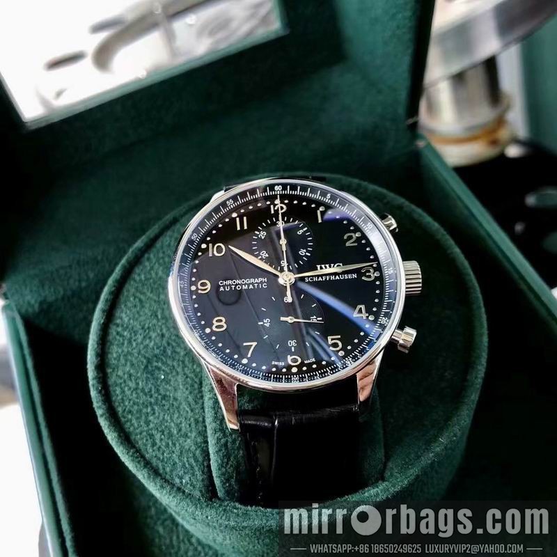IWC watch 082211 Watch