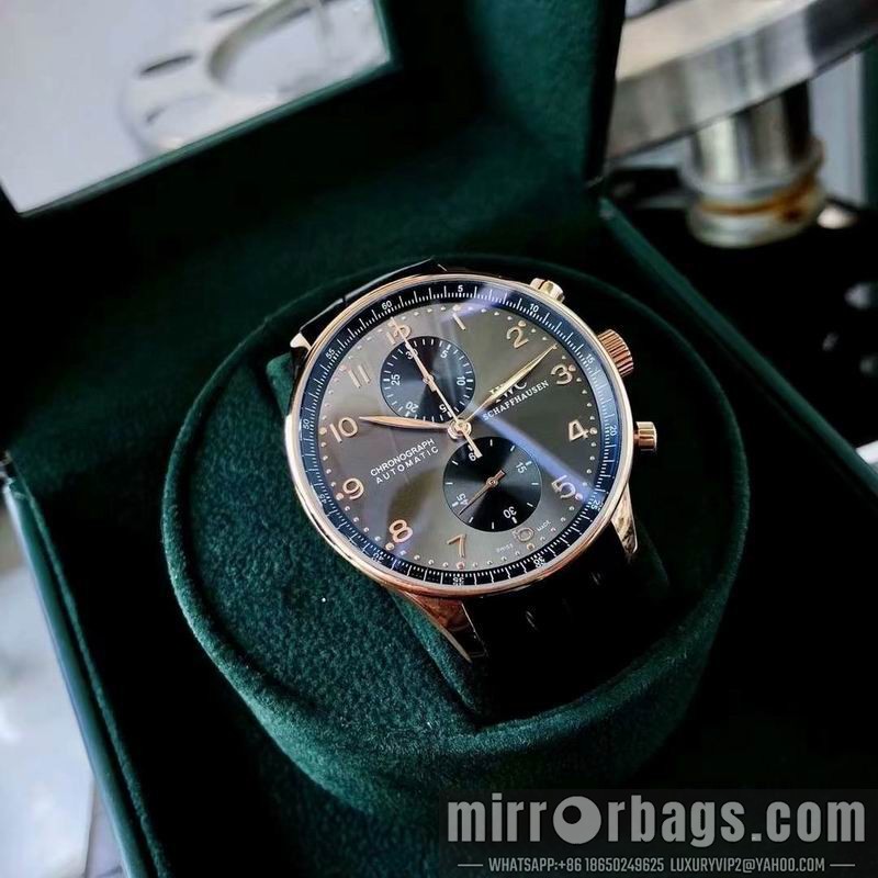IWC watch 082211 Watch