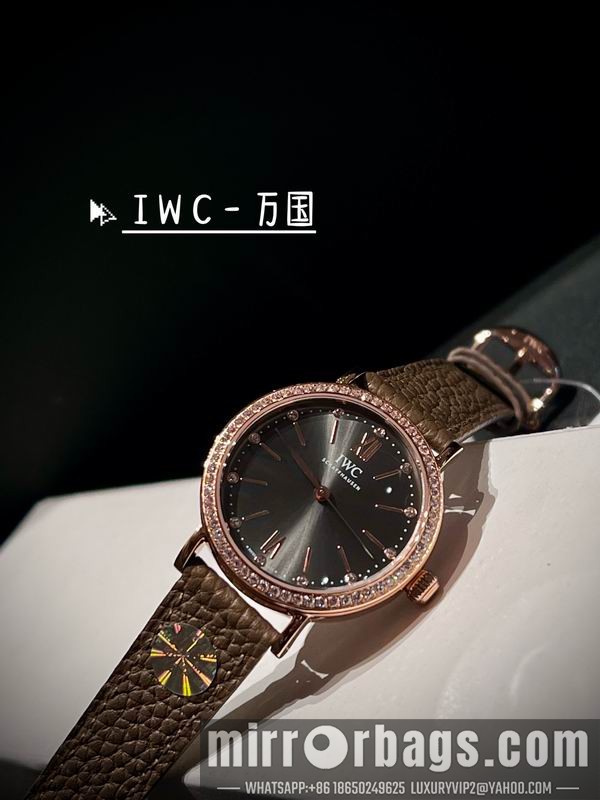 IWC 34mm 042915 Watch