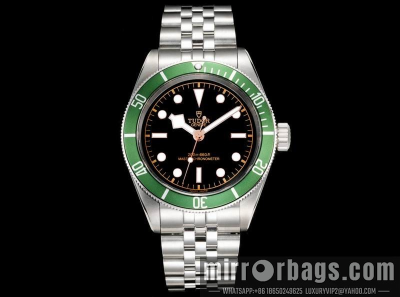 Tudor 41mm 022113 Watch