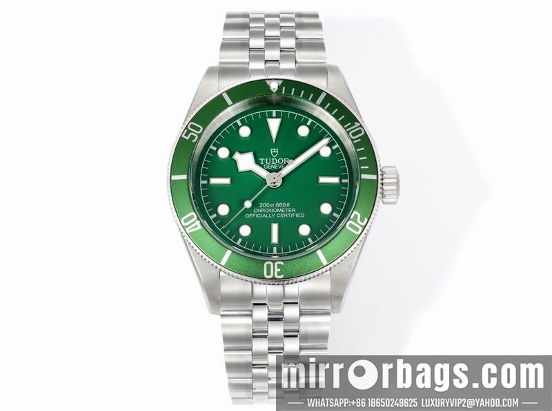Tudor 41mm 080415 Watch