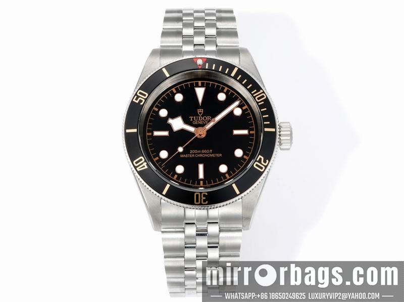 Tudor 41mm 080415 Watch