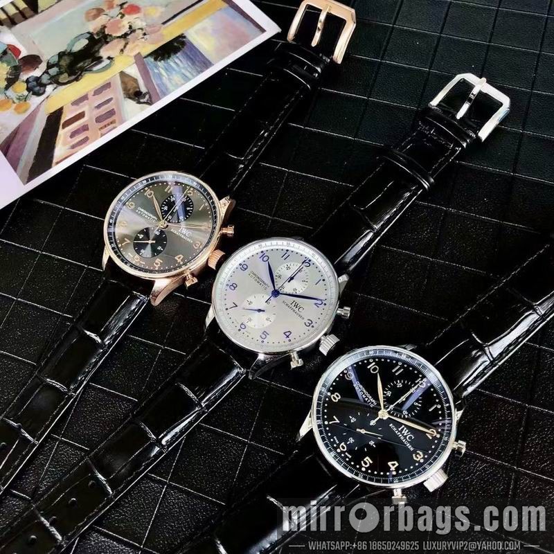 IWC watch 082211 Watch