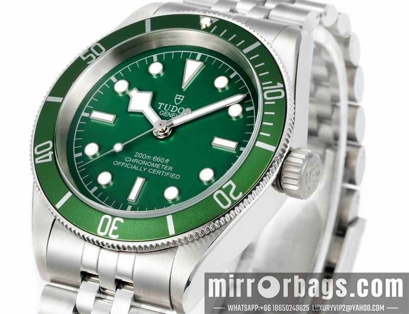 Tudor 41mm 080415 Watch