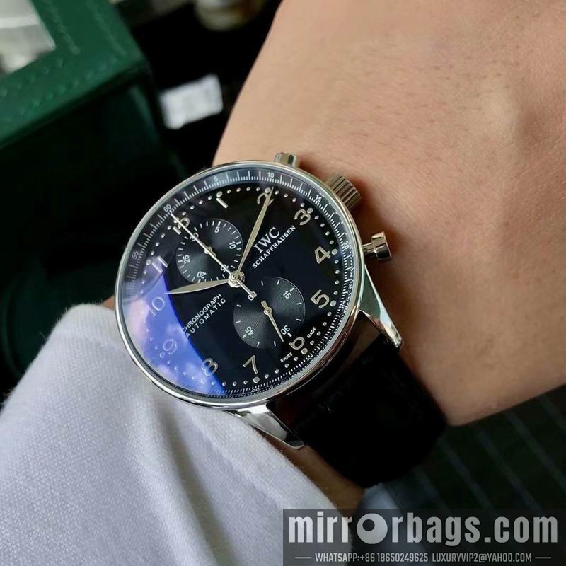 IWC watch 082211 Watch