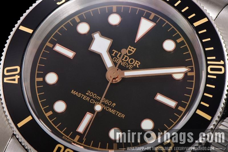 Tudor 41mm 080415 Watch