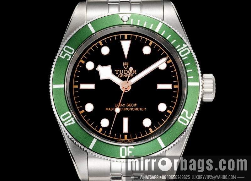 Tudor 41mm 022113 Watch
