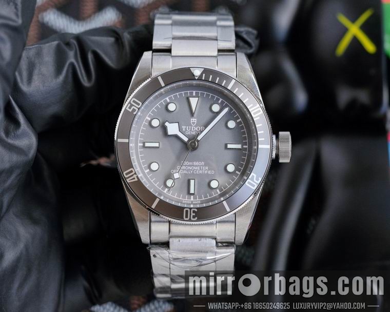 Tudor men 42mm M05 Watch