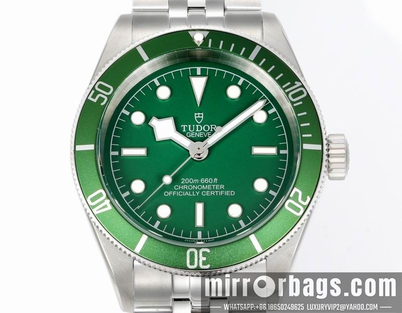 Tudor 41mm 080415 Watch