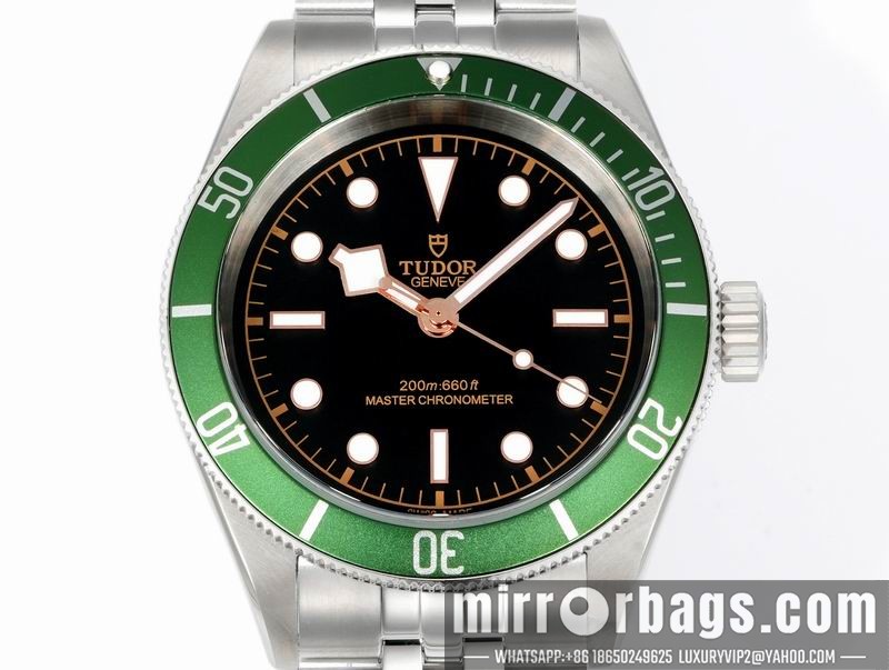 Tudor 41mm 080415 Watch