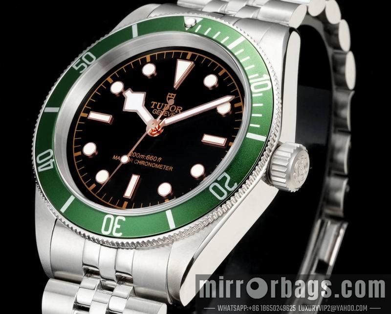 Tudor 41mm 022113 Watch