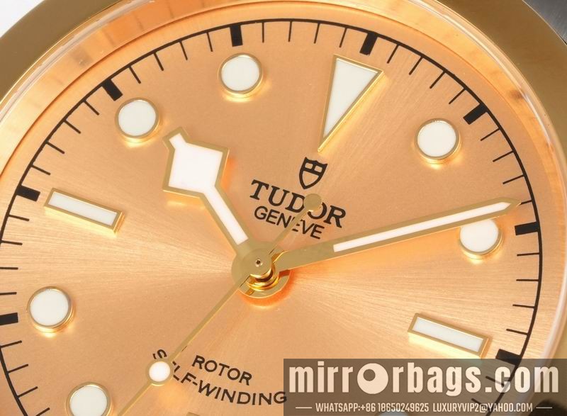 Tudor 41mm 080414 Watch