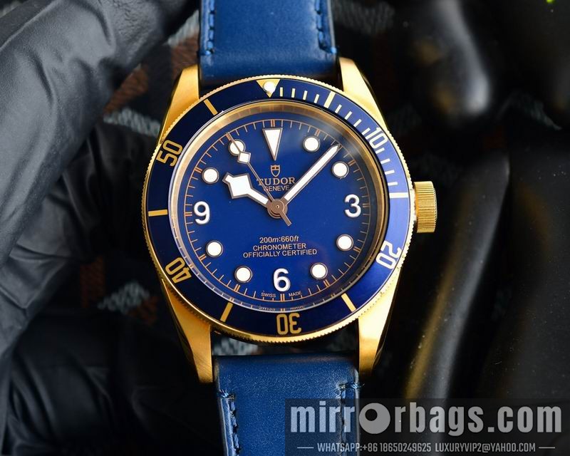 Tudor 42mm 050725 Watch