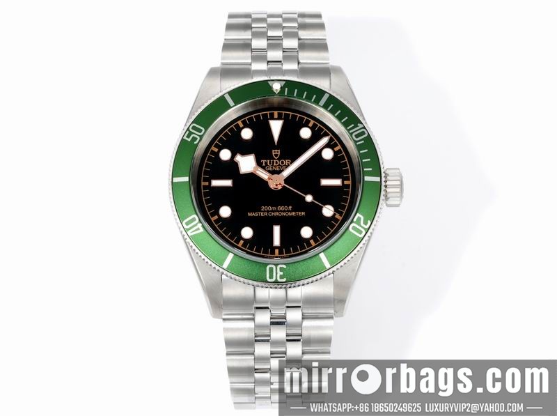 Tudor 41mm 080415 Watch