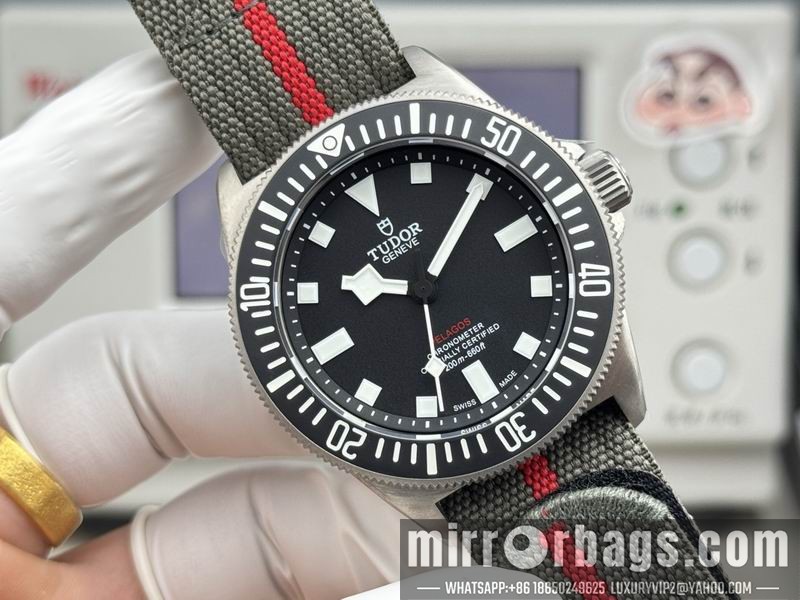 Tudor 42mm 040911 Watch