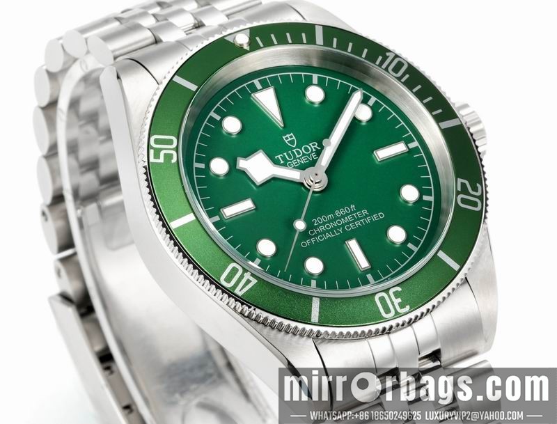 Tudor 41mm 080415 Watch