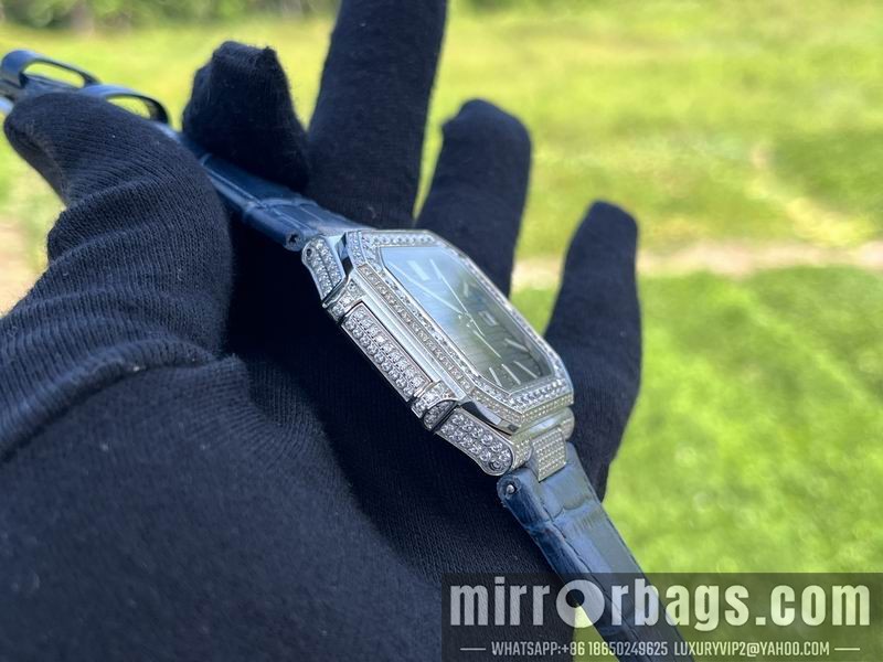 Patek Philippe watch 071004 Watch