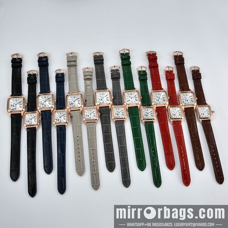 Cartier M32X43mm W28X38mm 032510 Watch