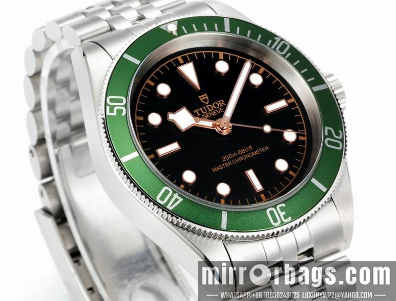 Tudor 41mm 080415 Watch