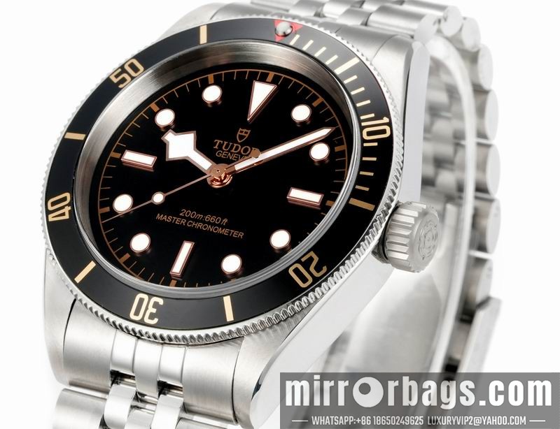 Tudor 41mm 080415 Watch